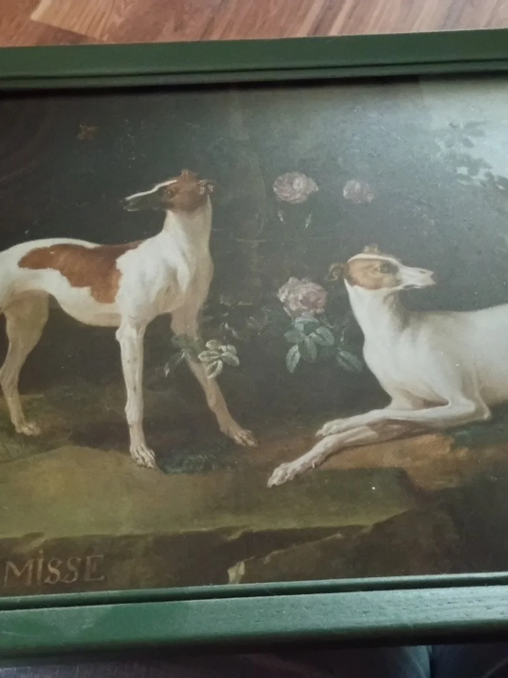 Misse And Tvrlu